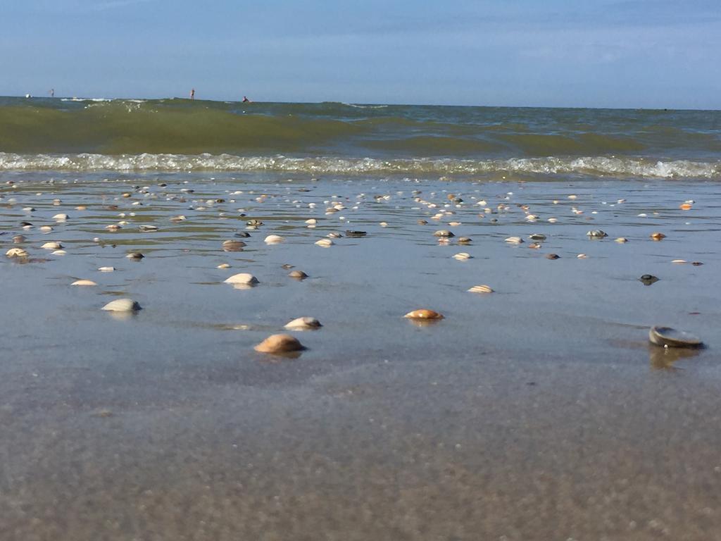 Sea You Hotel נורדוויק מראה חיצוני תמונה